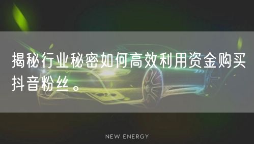 揭秘行业秘密如何高效利用资金购买抖音粉丝。